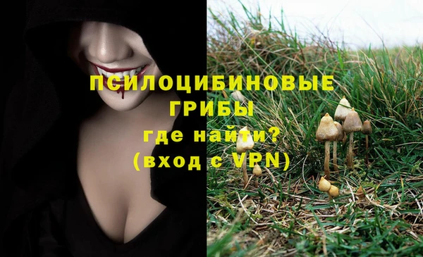 ГАЛЛЮЦИНОГЕННЫЕ ГРИБЫ Покачи