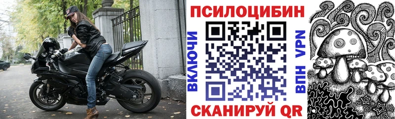 Галлюциногенные грибы Psilocybine cubensis  Мезень 